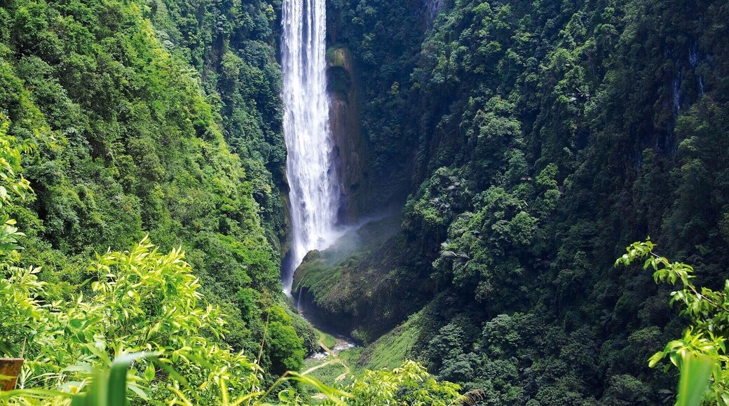 #Tongling Grand Canyon in Baise,Guangxi province of China. #Travel
https://twitter.com/Beautifulgx