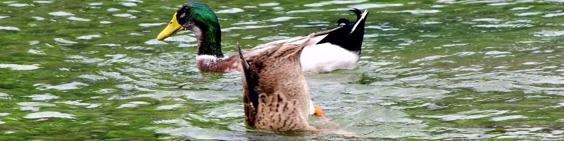Beautiful #Jingxi Equan Spring of Guangxi,China.
https://twitter.com/Beautifulgx