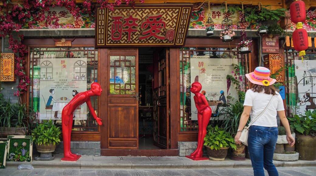 Tianzhou Ancient Town.
百色田州古城.
https://twitter.com/Beautifulgx