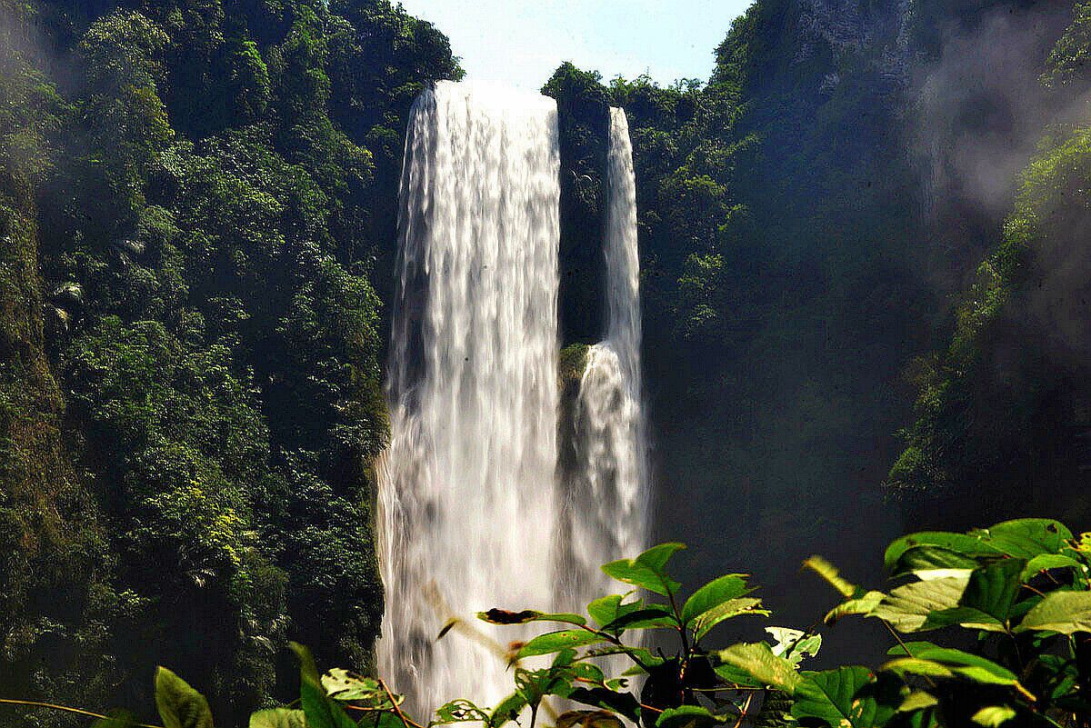 A waterfall cascading down a steep cliff surrounded by dense forest.