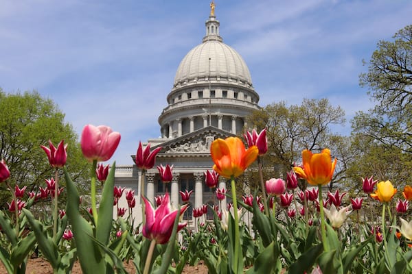 A large domed building with columns and a statue on top, surrounded by blooming tulips.