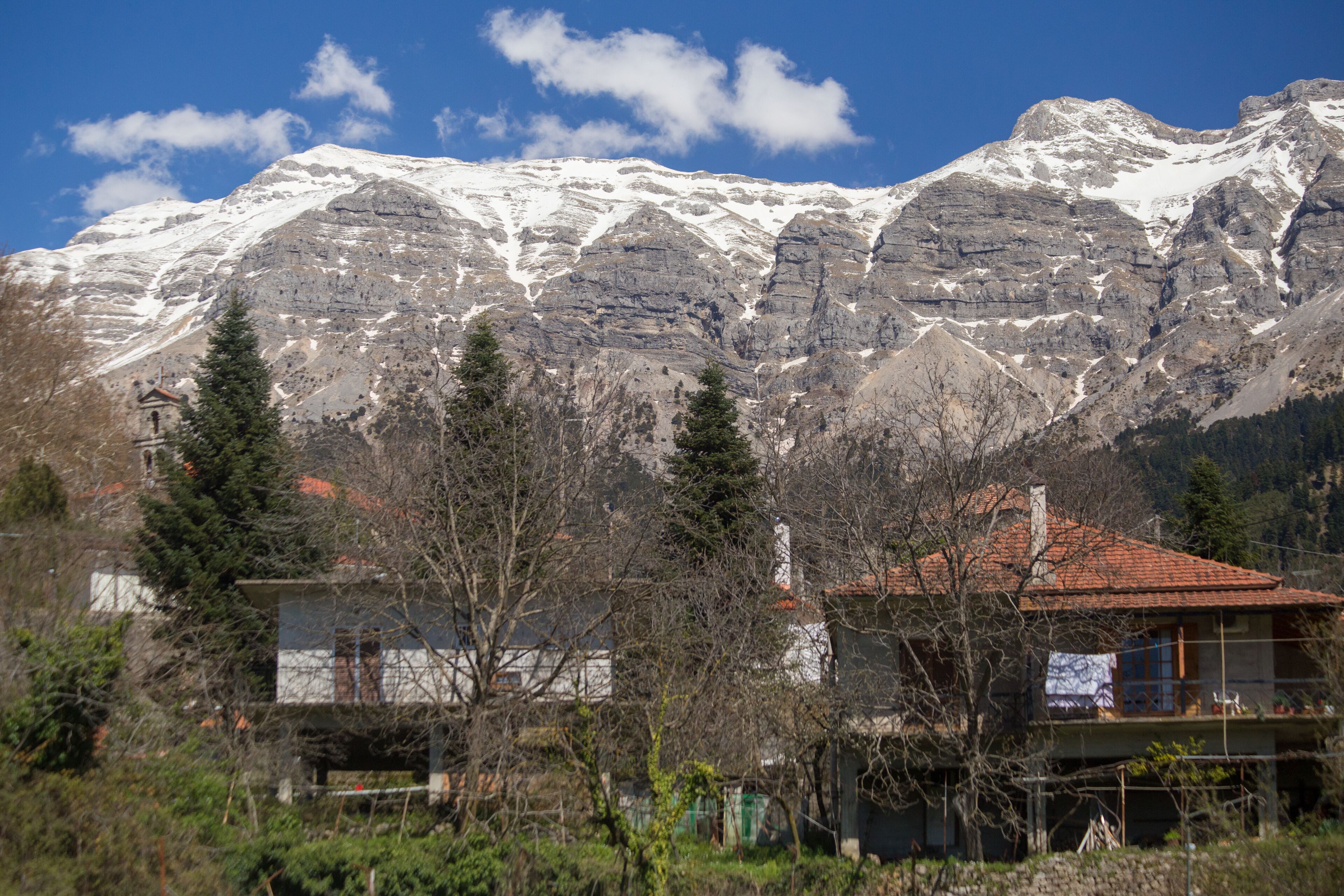 セントラル ズメルカ