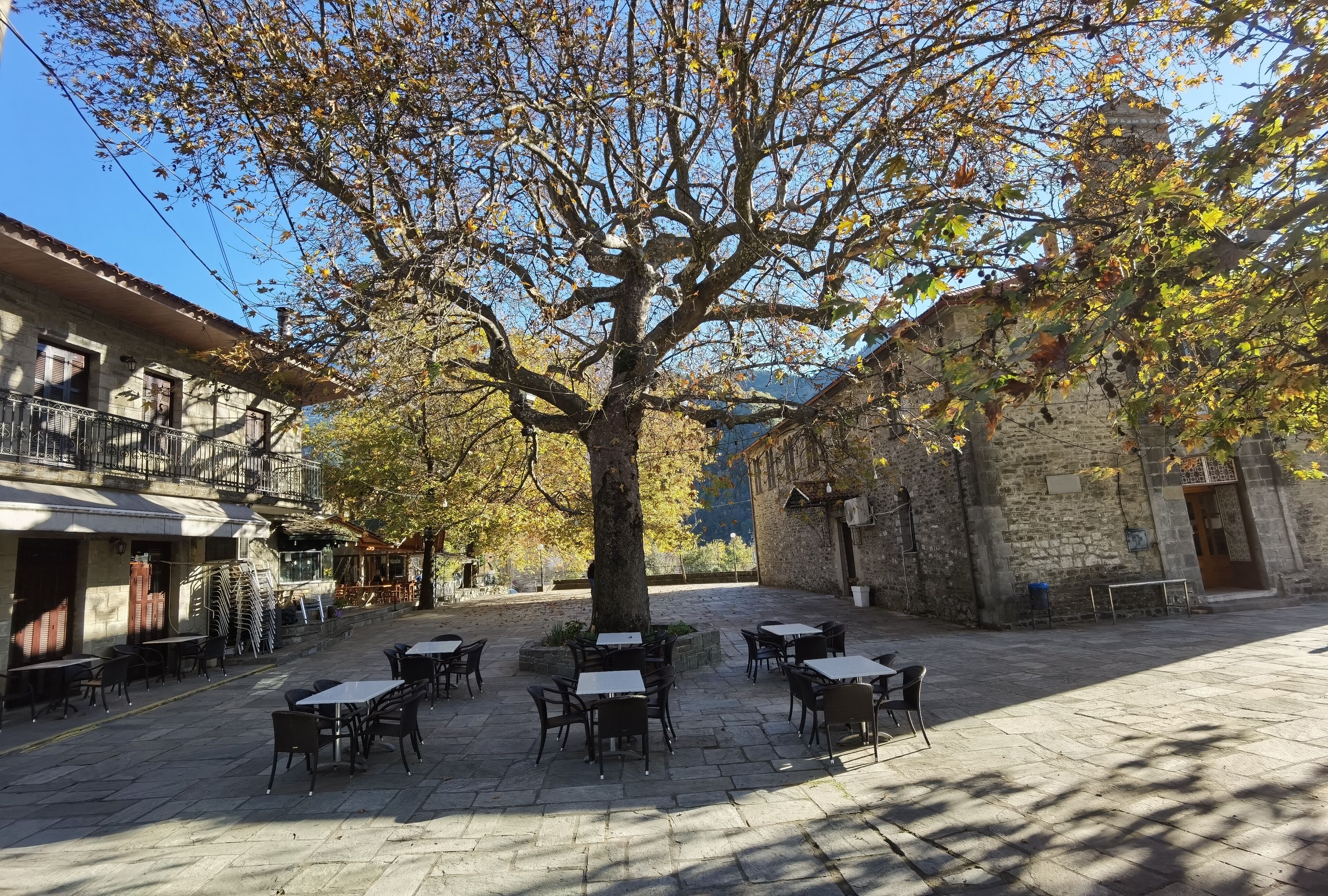 セントラル ズメルカ