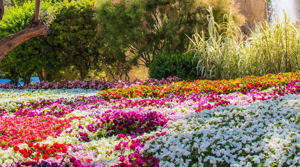 Lush landscaped garden with flowerbed and colorful plants