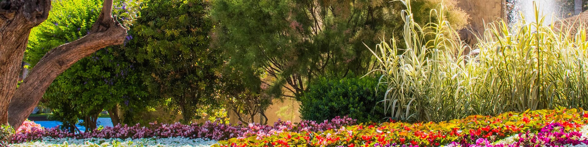 Lush landscaped garden with flowerbed and colorful plants