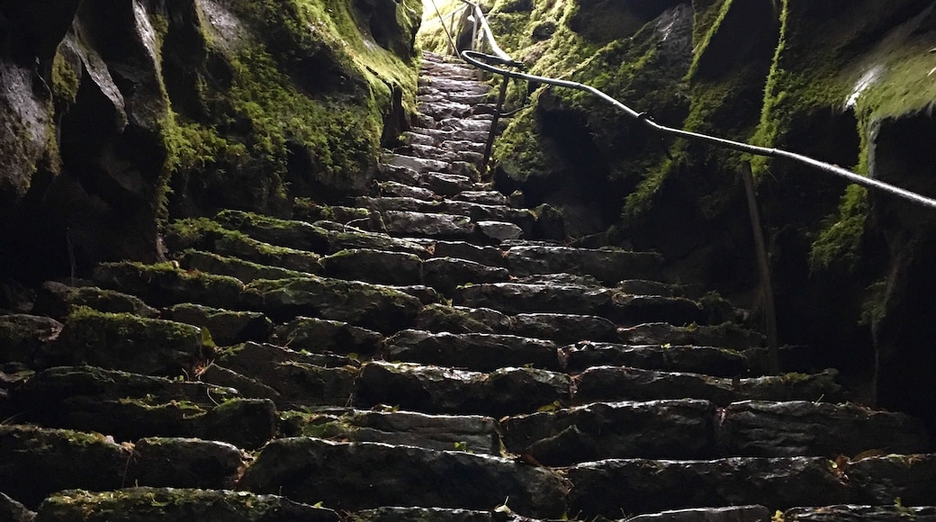 An interesting cave to explore off the pigeon loop path.