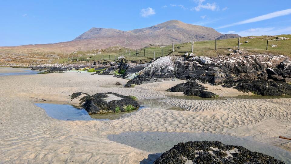A rocky beach with seaweed-covered rocks and a mountain in the background.