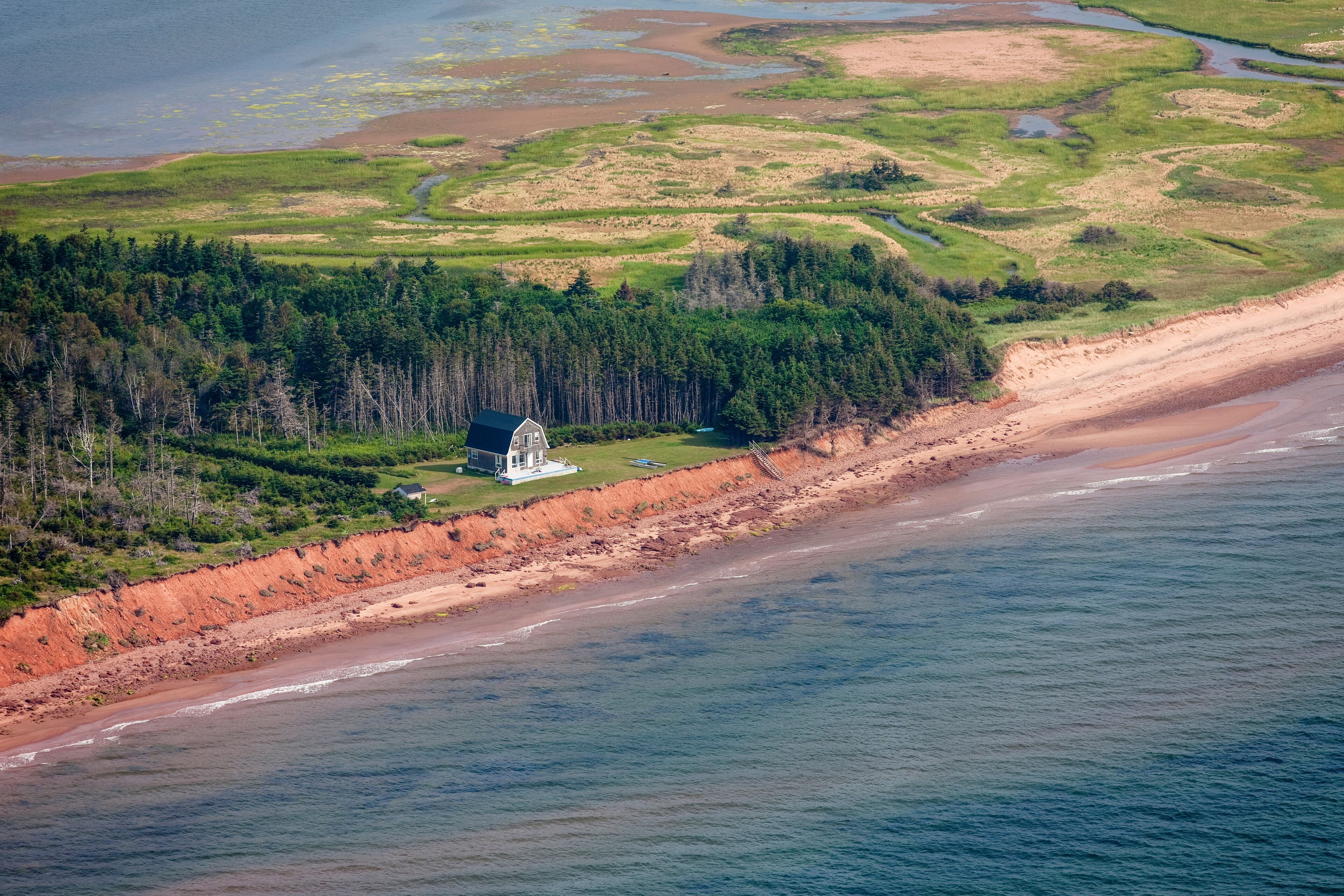 A coastal landscape with a beach, forested area, and a small white house near the shore.