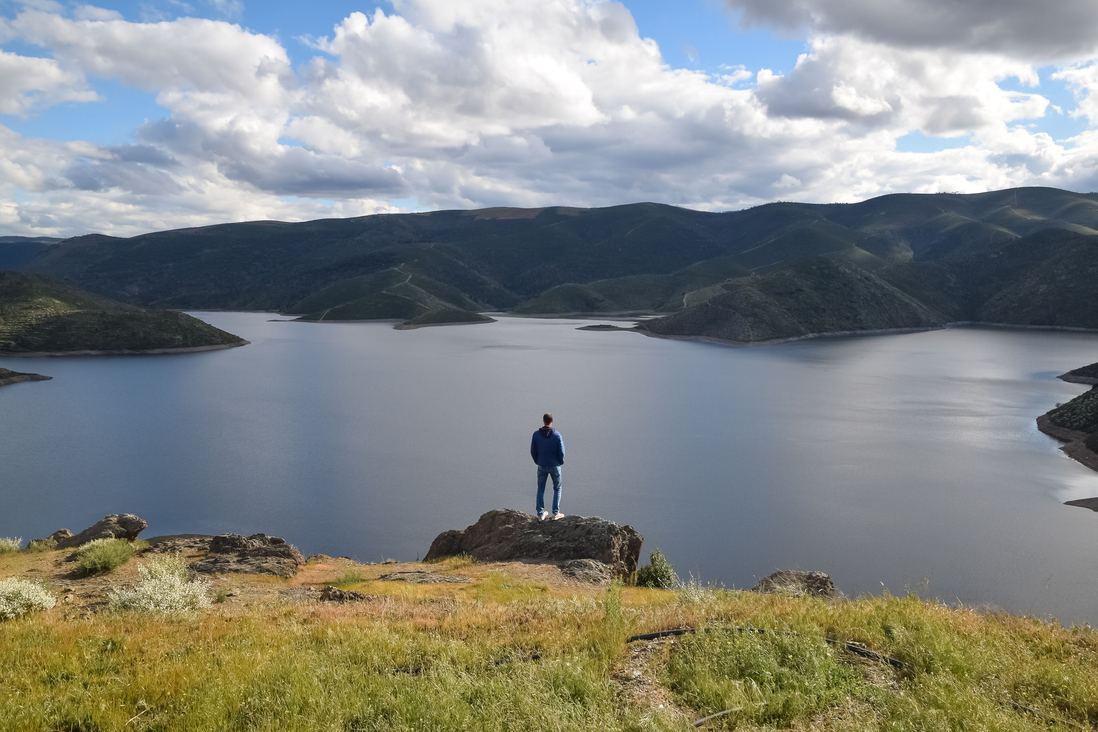 ألفانديجا دا في