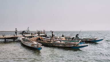 Riverbank with boats floating