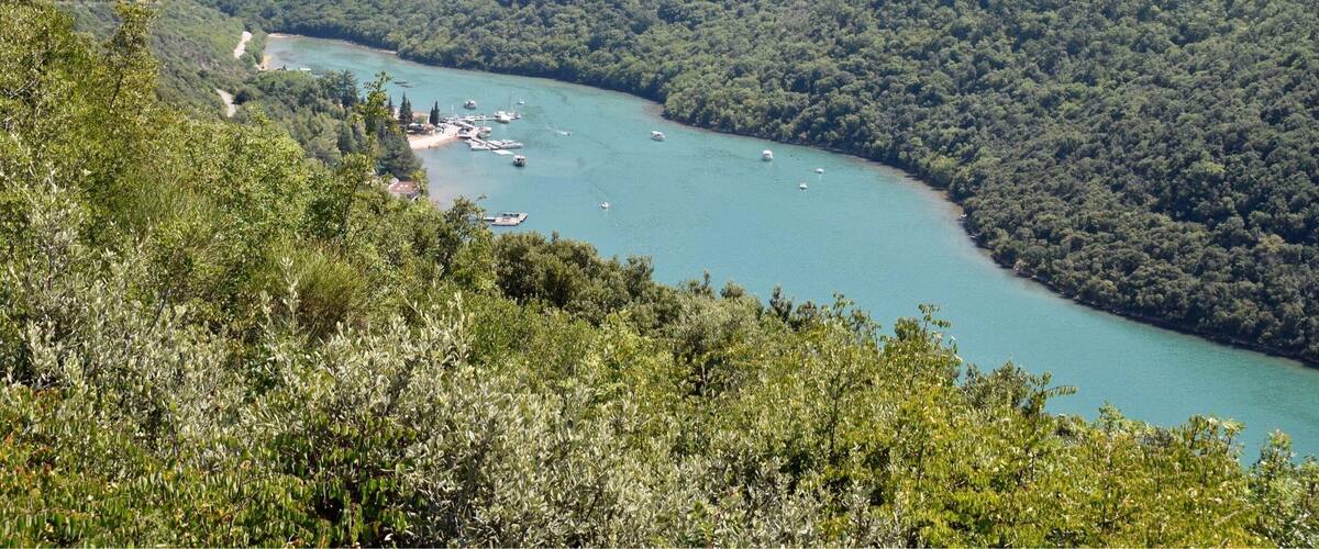 A river winding through a densely forested valley with boats anchored near the shore.