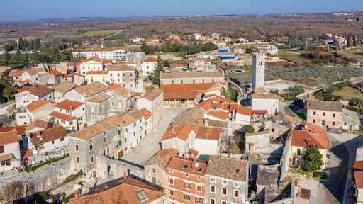史維提羅夫雷奇