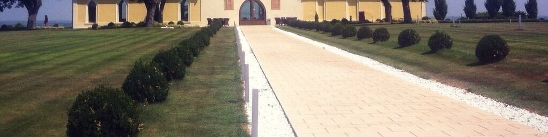 Renewed mansion Principovac ****, formerly owned by the Odescalchi princes, country estate situated between beautiful vineyards 🍇🍷