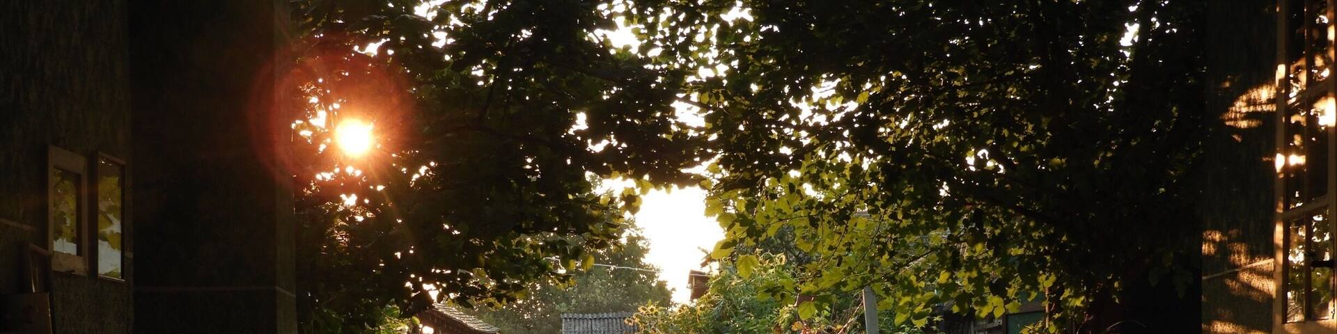 Living history house