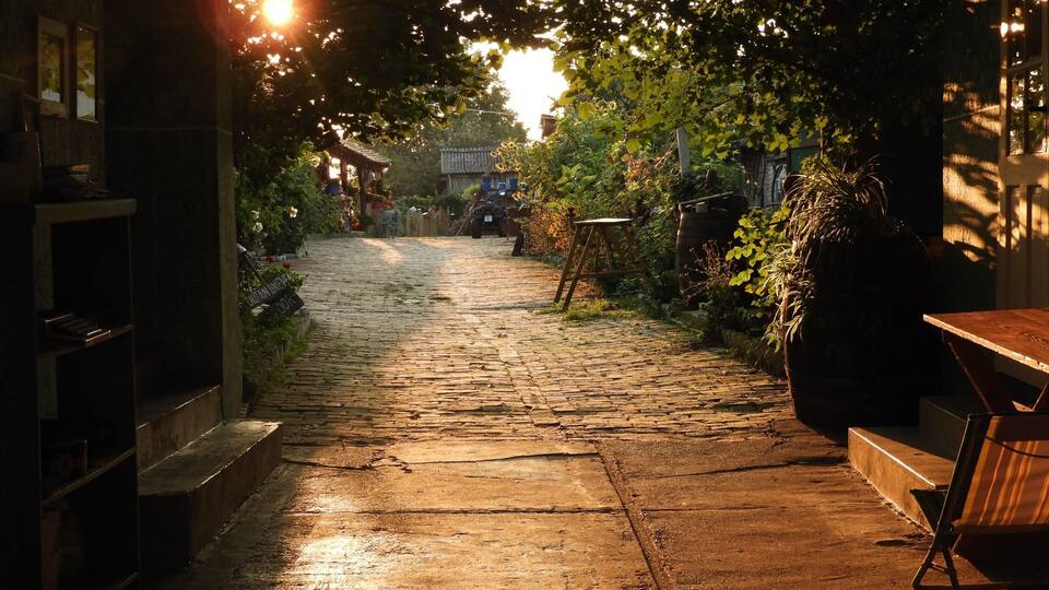 A cobblestone path leading through a garden at sunset.