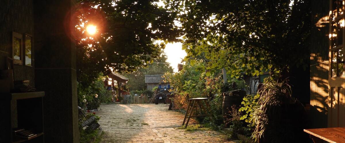 A cobblestone path leading through a garden at sunset.