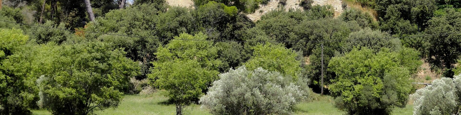 Eglise Saint-Sauveur - La Barben (Provence)