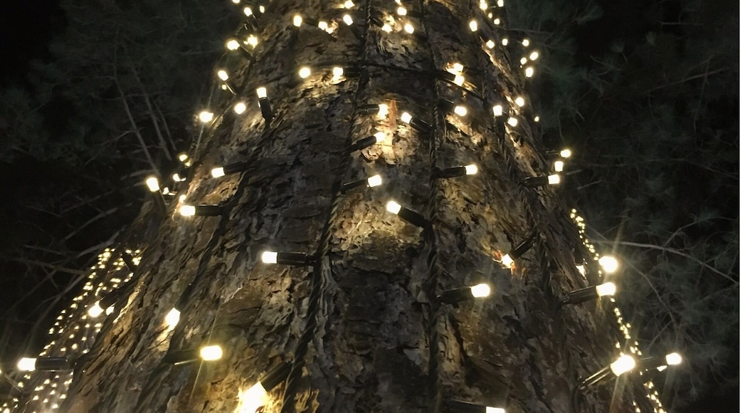 Thursford all decked out for Christmas!