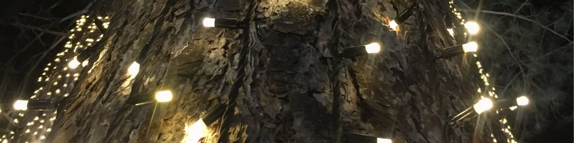 Thursford all decked out for Christmas!