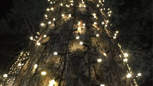 Thursford all decked out for Christmas!