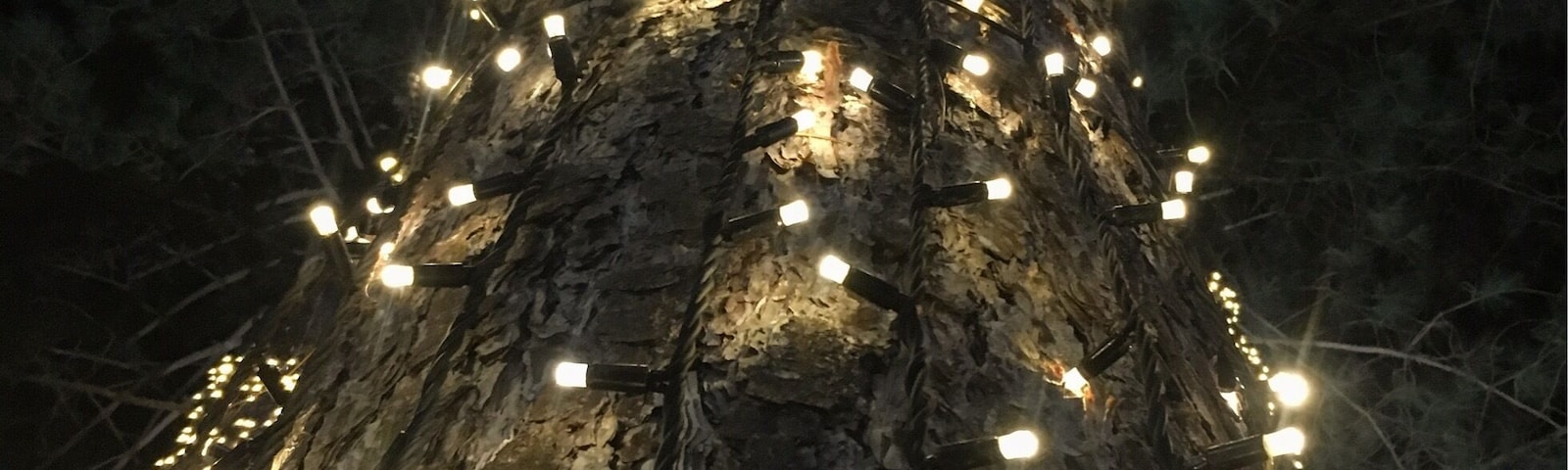 Thursford all decked out for Christmas!