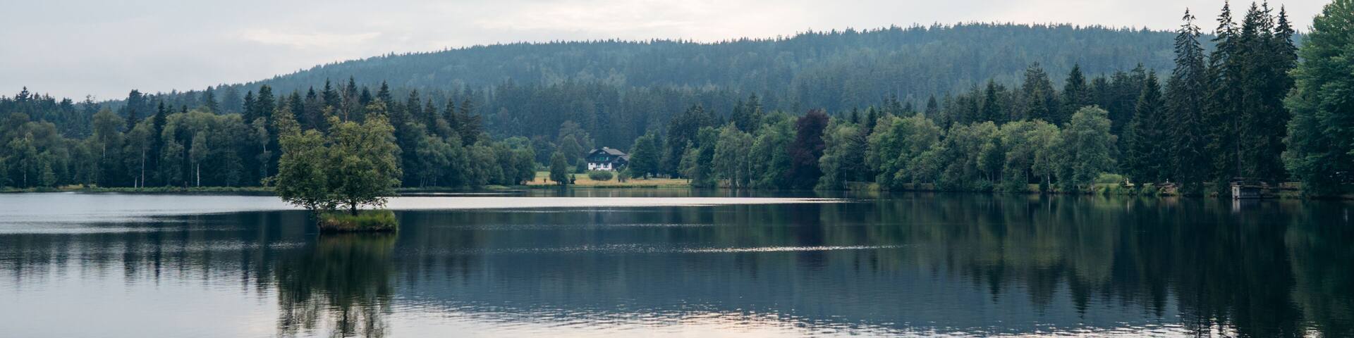 Natural Reserve Kladska in Slavkov Forest. Trees reflected in the pond. Near the famous czech spa town Marianske Lazne (Marienbad) - Czech Republic