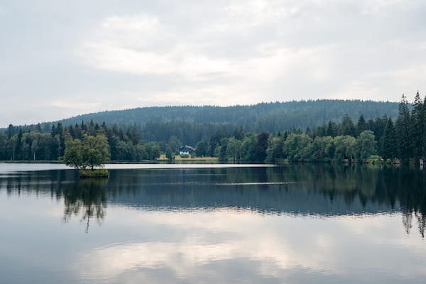 Natural Reserve Kladska in Slavkov Forest. Trees reflected in the pond. Near the famous czech spa town Marianske Lazne (Marienbad) - Czech Republic