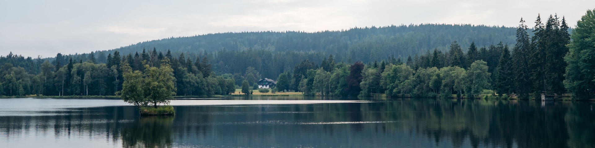 Natural Reserve Kladska in Slavkov Forest. Trees reflected in the pond. Near the famous czech spa town Marianske Lazne (Marienbad) - Czech Republic