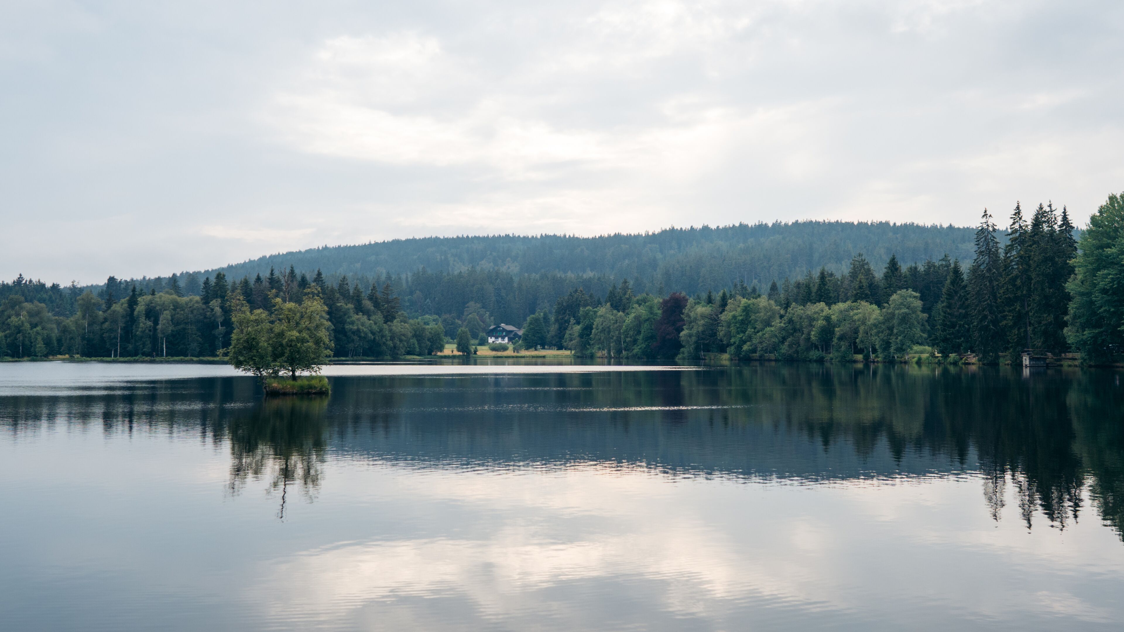 A calm lake with a small island, surrounded by dense forest and a hill in the background.