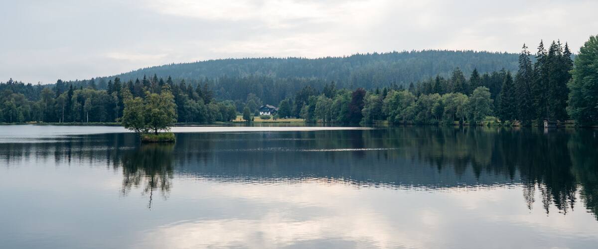 A calm lake with a small island, surrounded by dense forest and a hill in the background.
