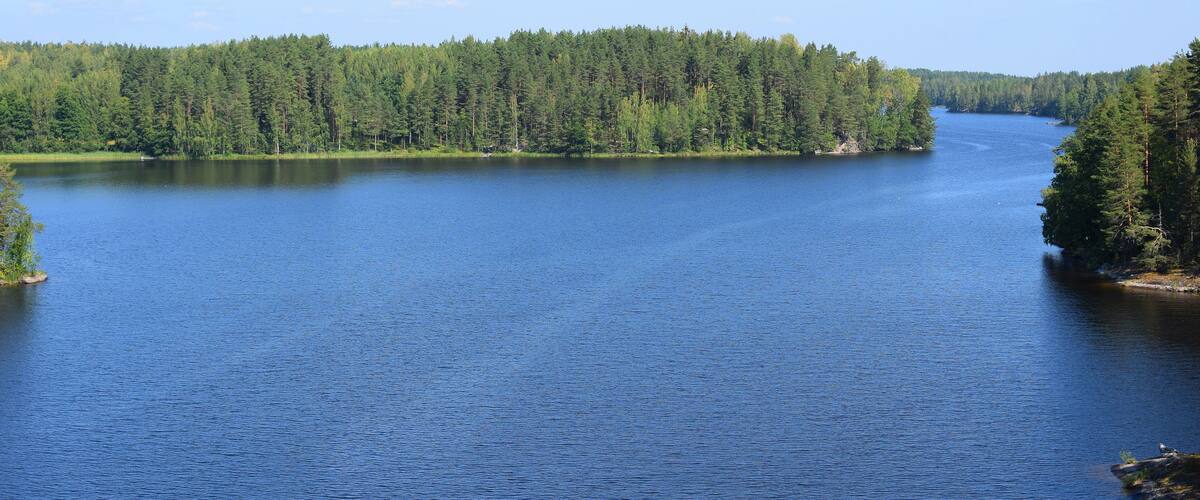 A calm river surrounded by dense forests.