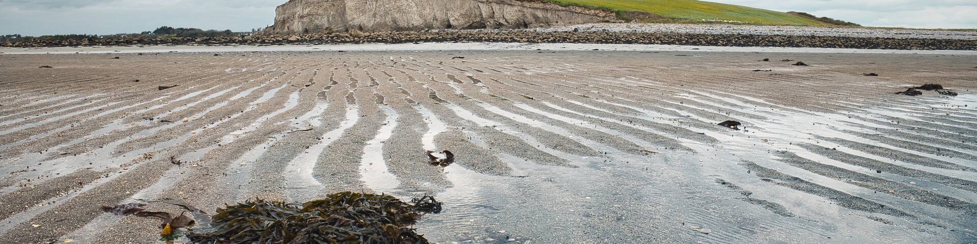 Beautiful coastal landscape at Silverstrand in Galway Ireland showing sandy beach, tidal water, and green cliffs, nature background