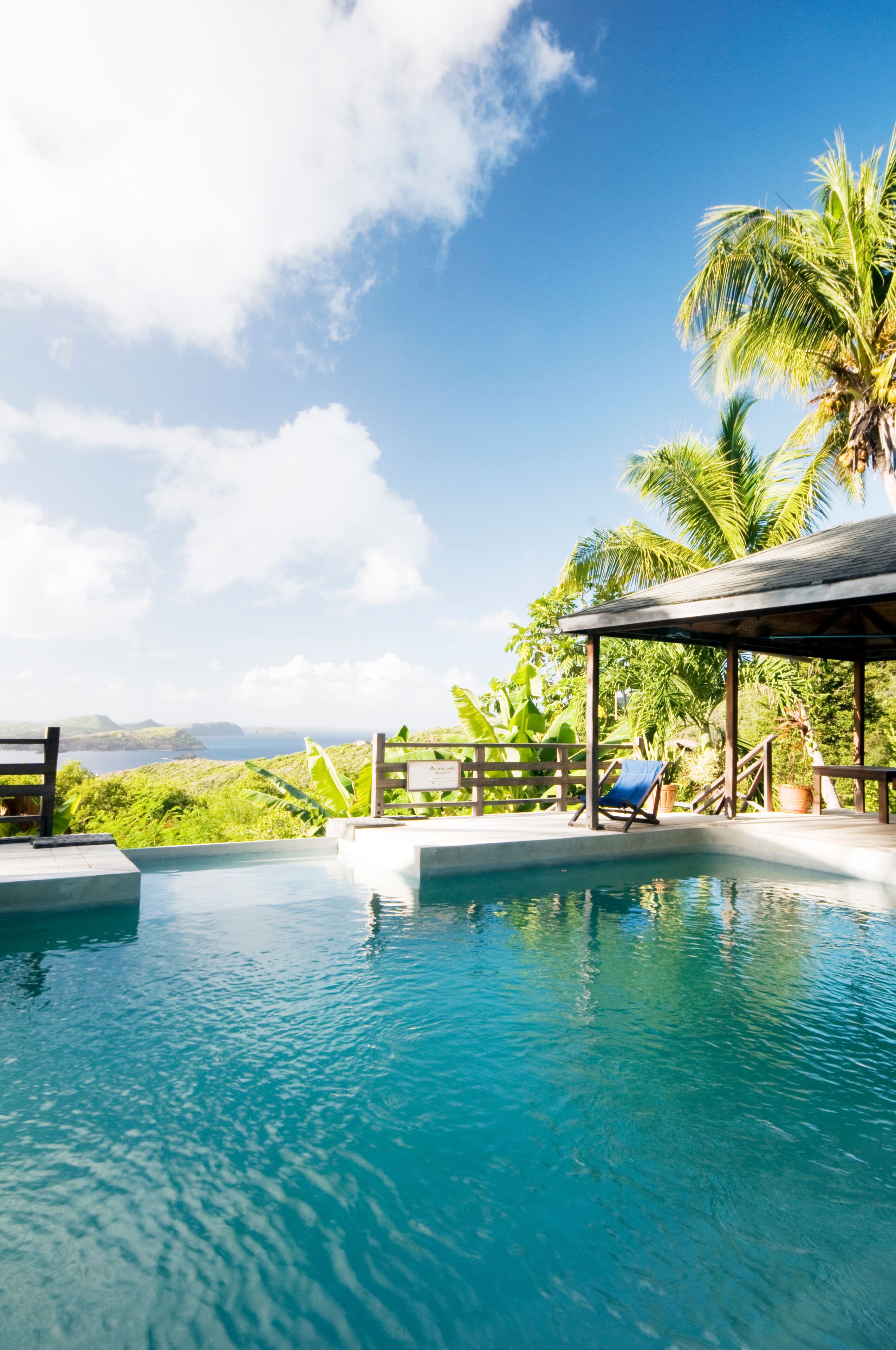 A clear blue pool with a wooden deck, palm trees, and a view of the ocean.