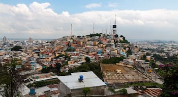 ปัวร์โต ซานตา อานา