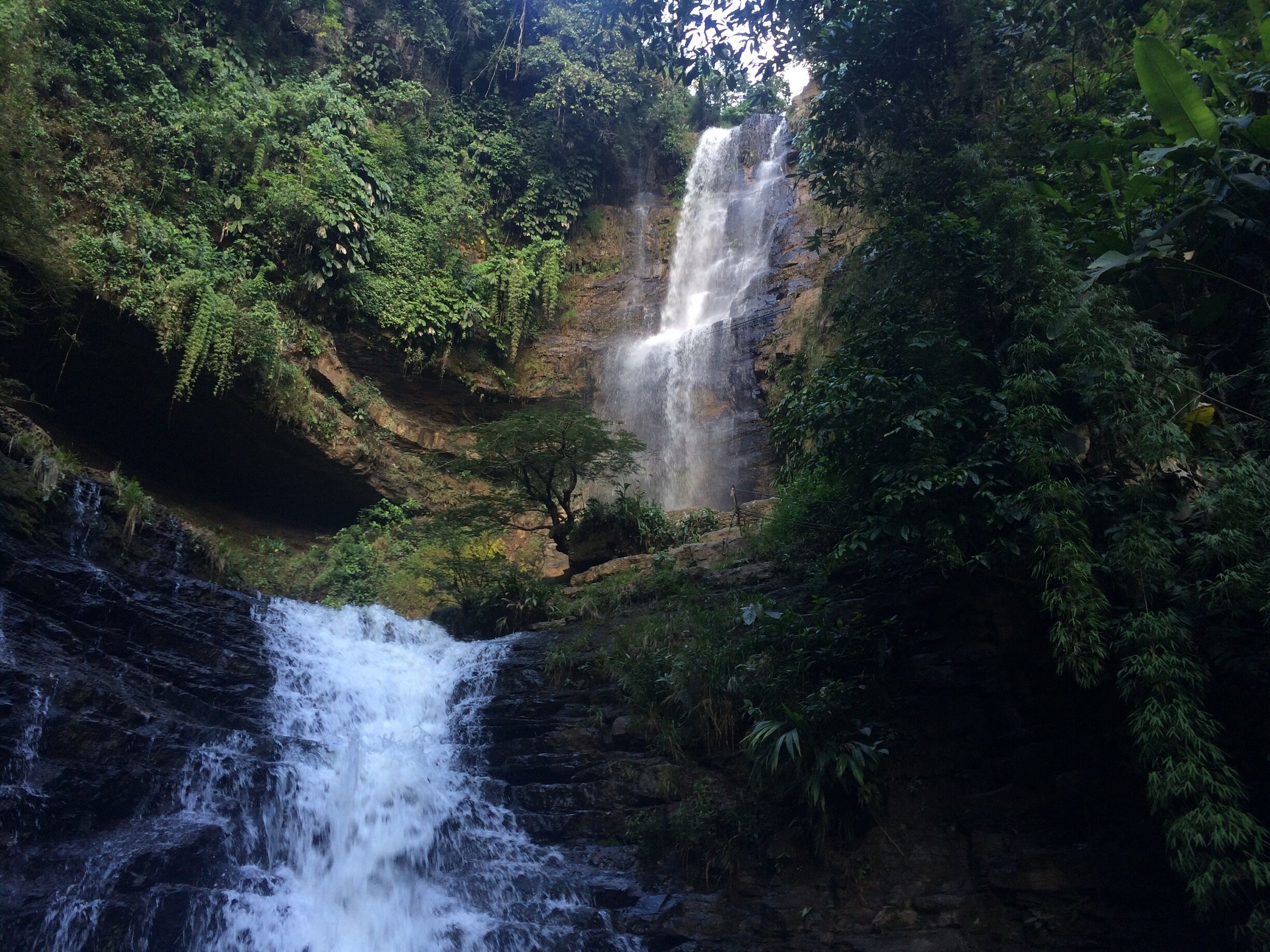 A waterfall cascading down a rocky cliff surrounded by dense green foliage.