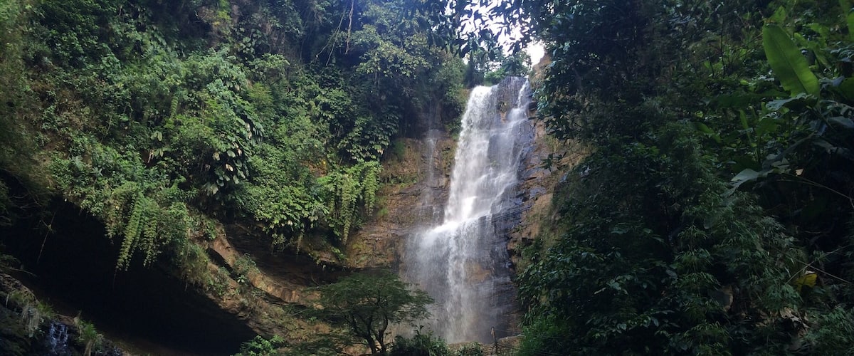 A waterfall cascading down a rocky cliff surrounded by dense green foliage.