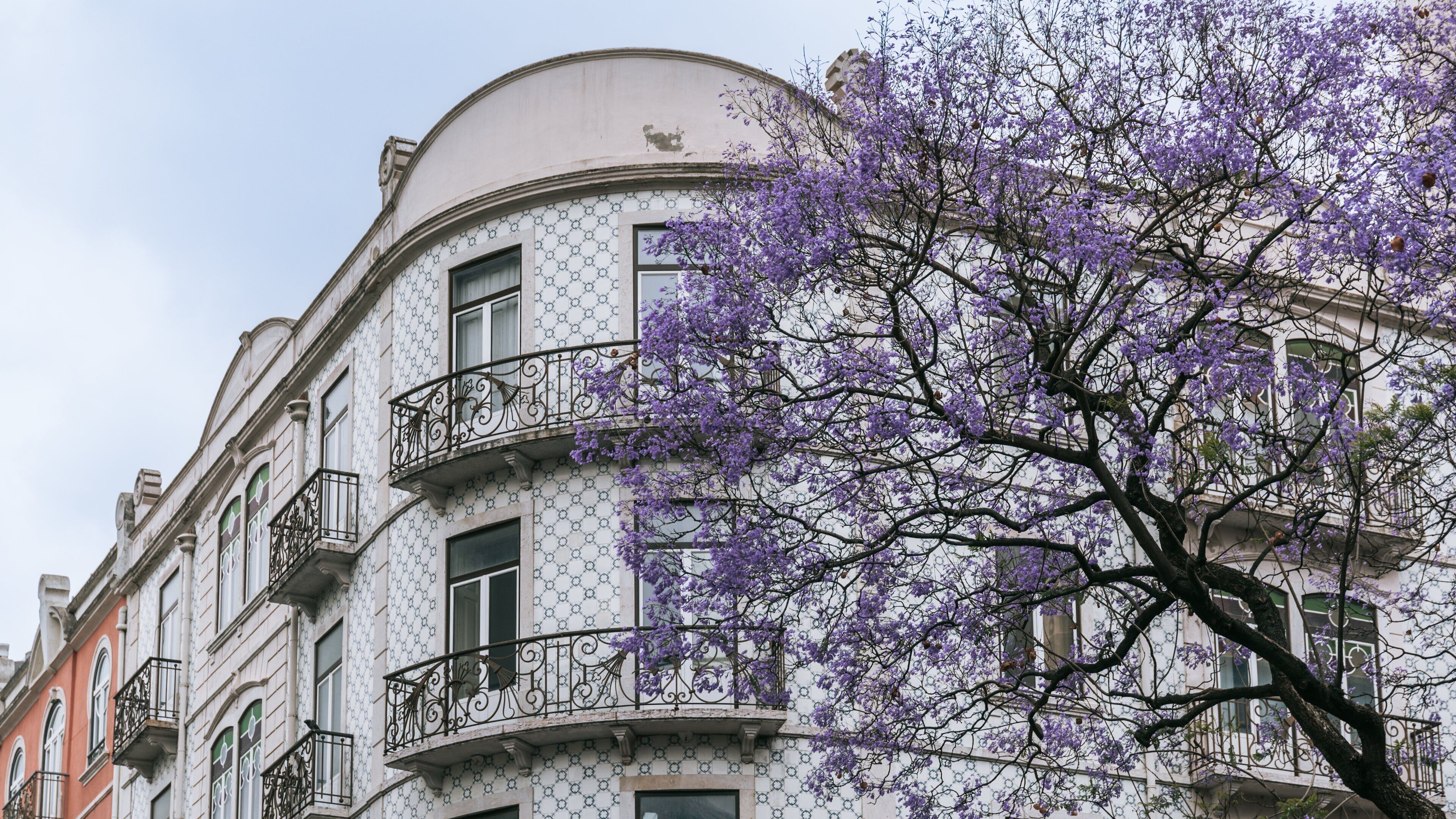 A building with white walls and black window frames, featuring balconies with wrought iron railings.
