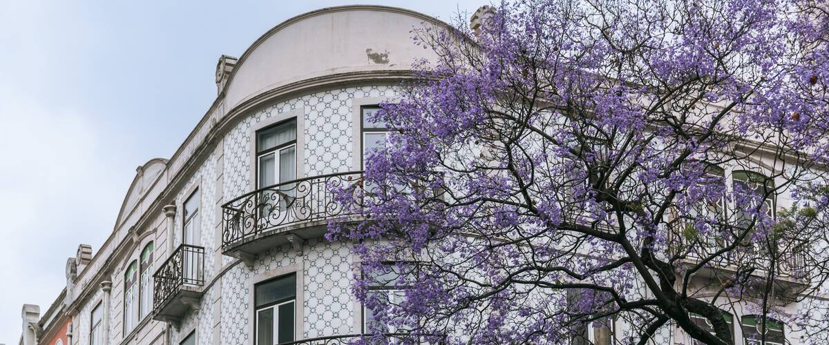 A building with white walls and black window frames, featuring balconies with wrought iron railings.