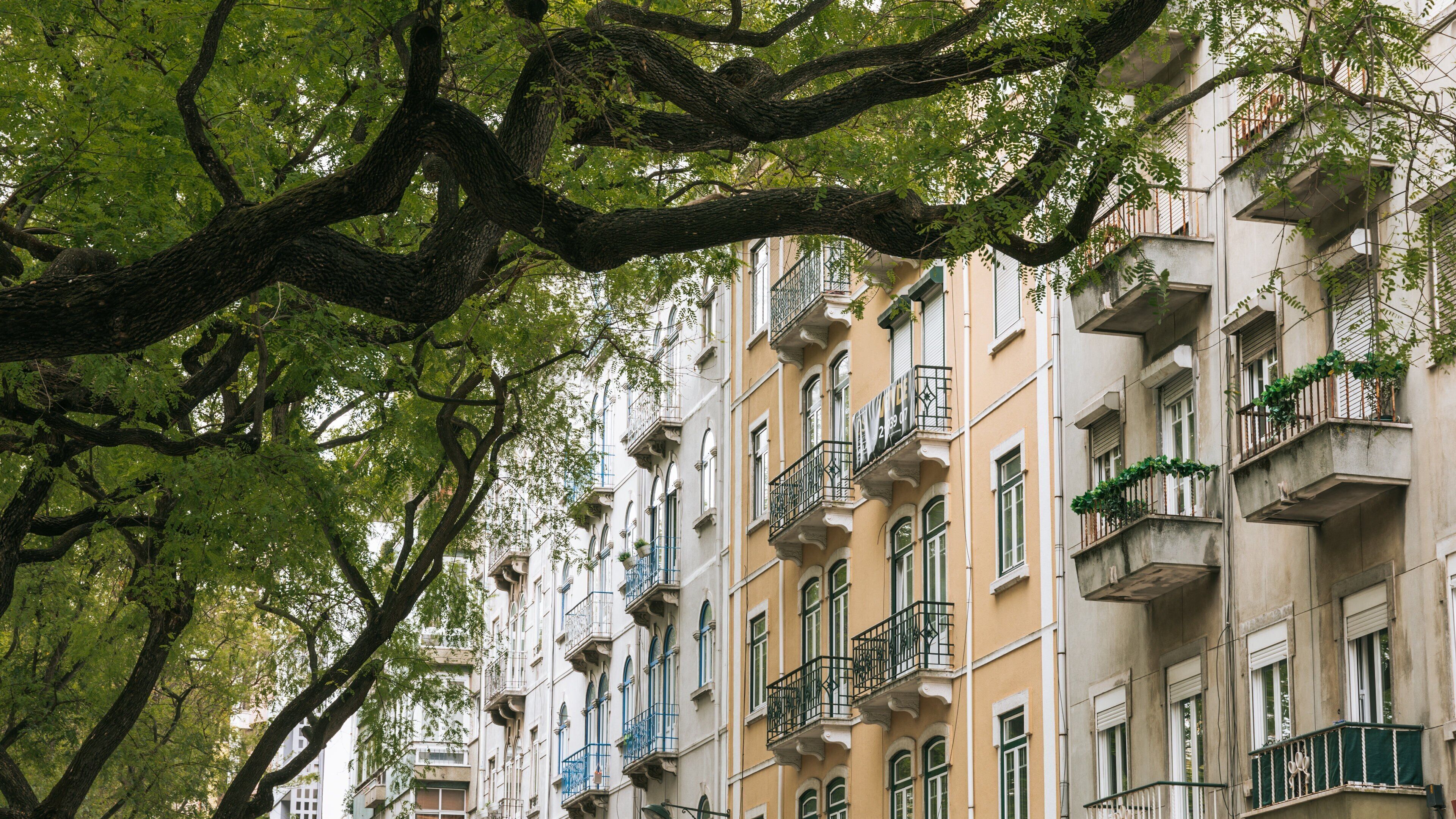 Avenidas Novas which includes a city