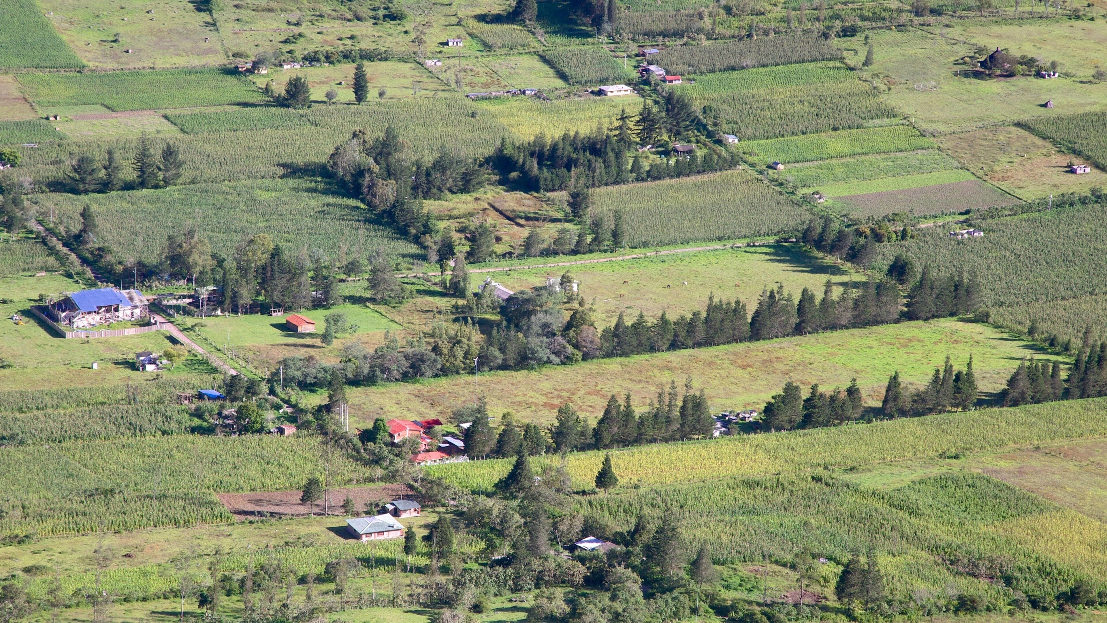 Quito showing tranquil scenes and landscape views