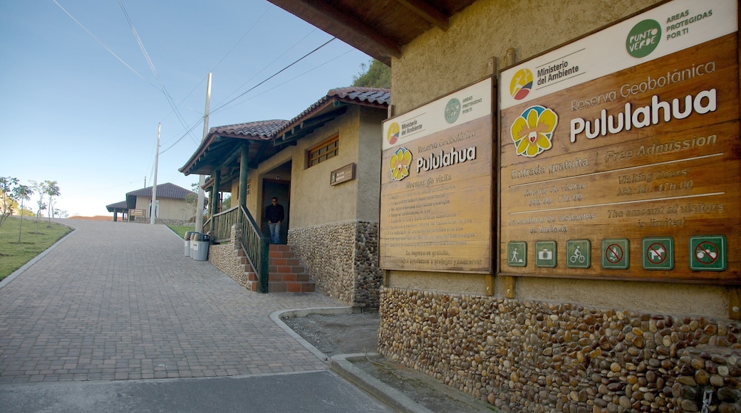 Quito which includes street scenes and signage