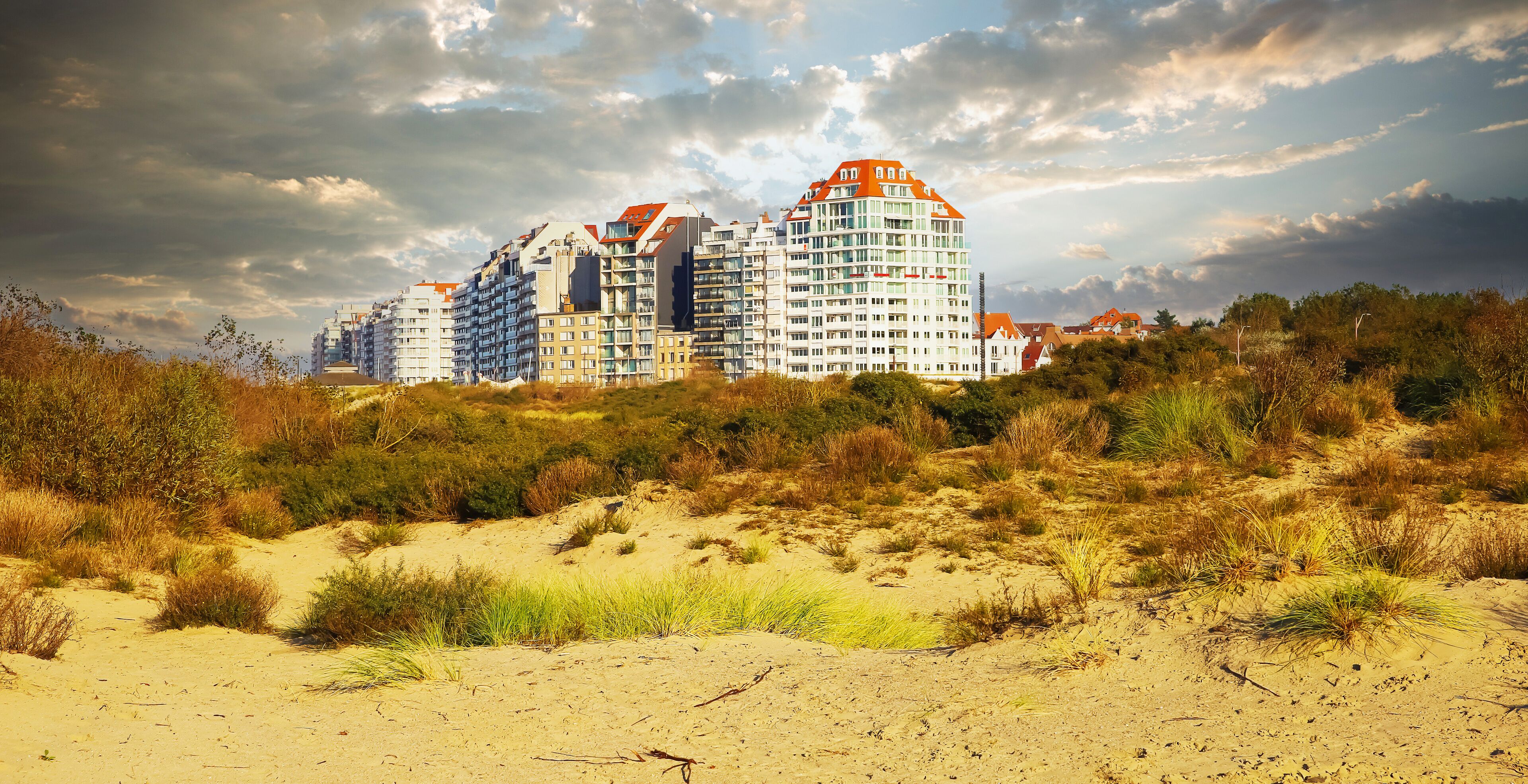 View over sand dunes with grass on belgian modern coast town buildings against dramatic autumn cloudy sky - Knokke -Heist, Belgium