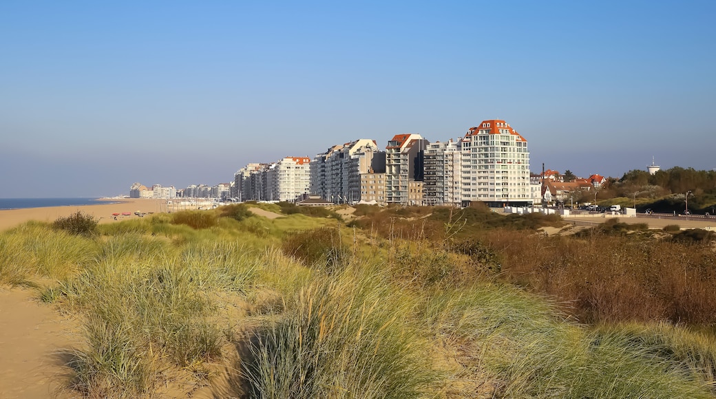View over sand dunes with grass on coast town against clear blue summer sky - Knokke-Heist, Belgium
