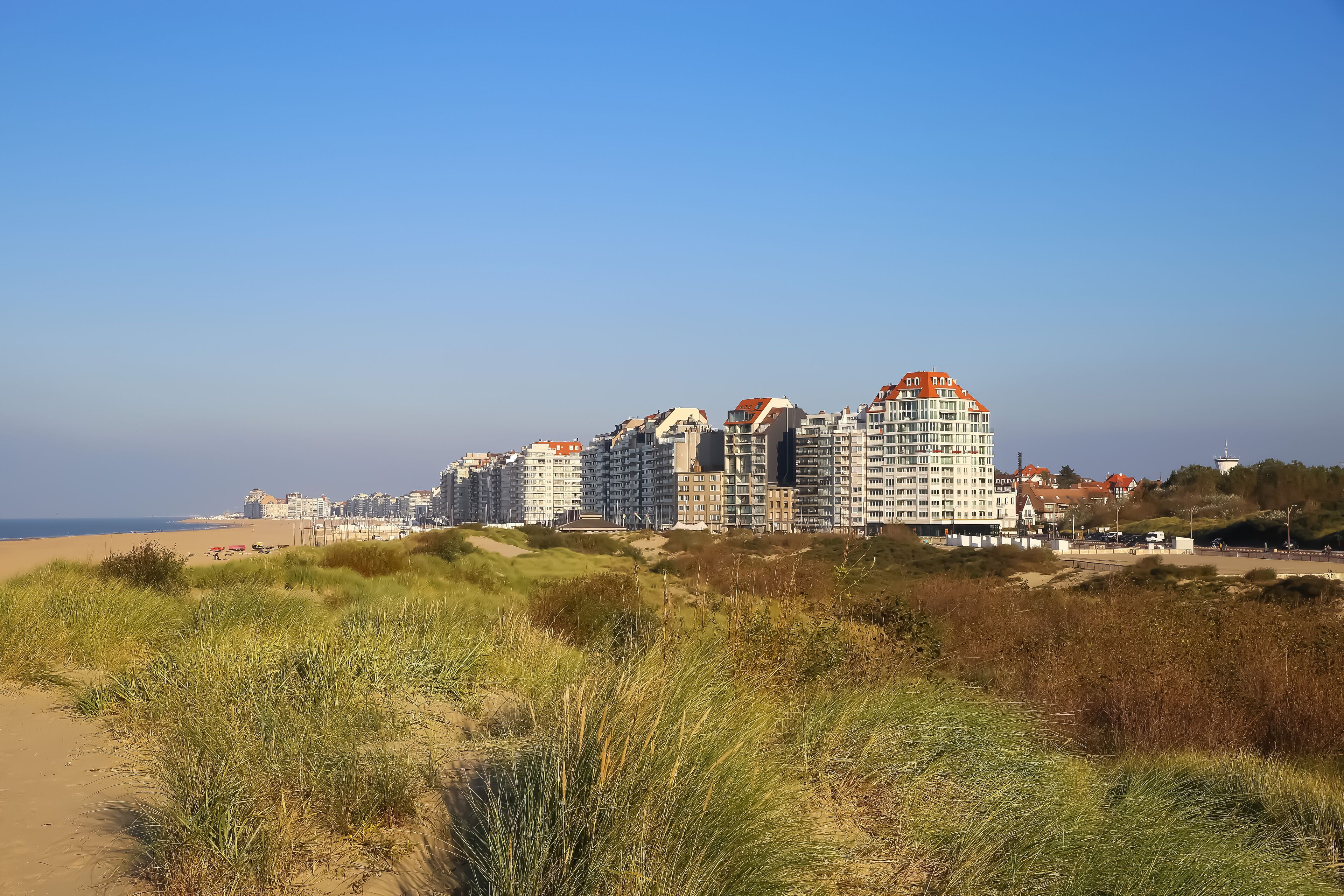 A coastal cityscape with high-rise buildings and dunes.