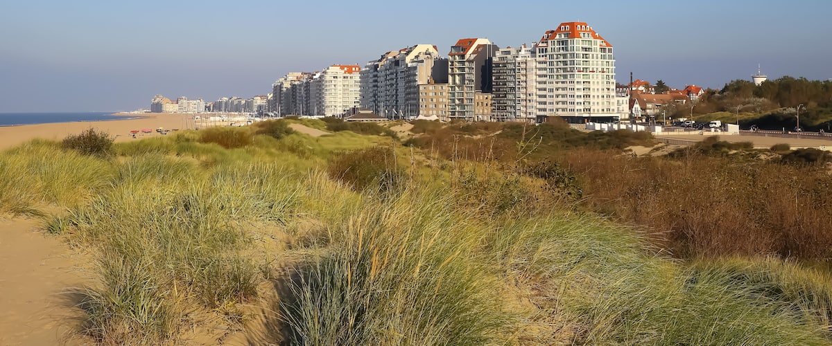 A coastal cityscape with high-rise buildings and dunes.