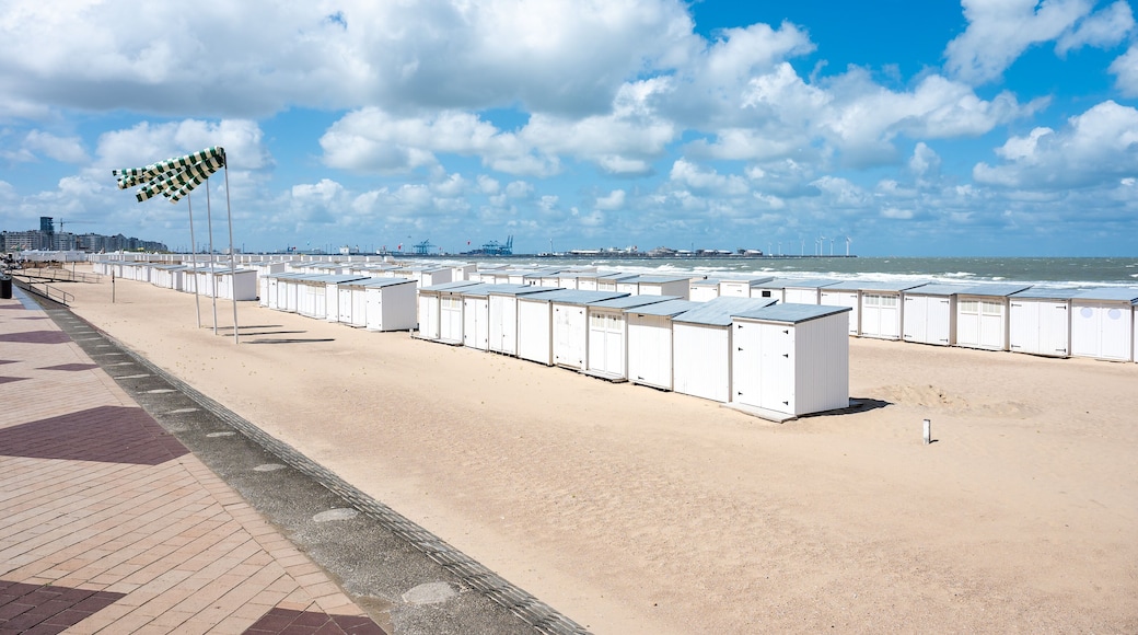 ديونبيرجين