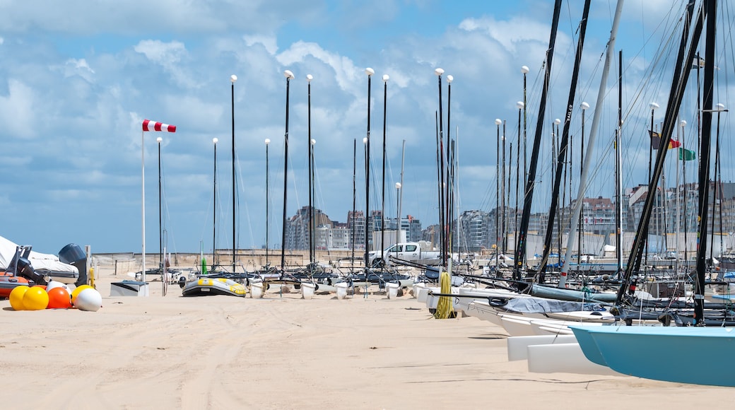 ديونبيرجين