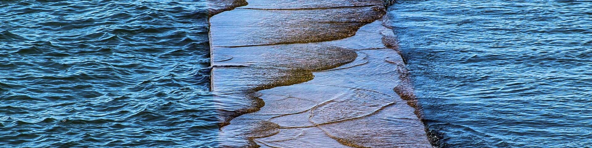 Visit on the 4th of July 2017