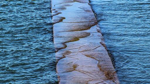 Visit on the 4th of July 2017