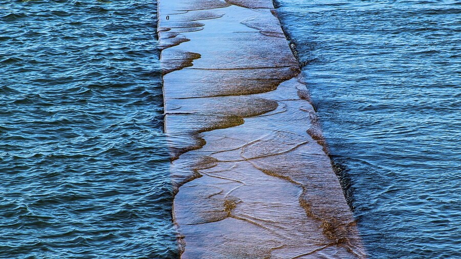 Visit on the 4th of July 2017